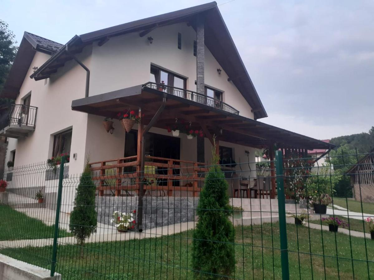 Hotel Casa Alex Curtea de Argeş Zewnętrze zdjęcie