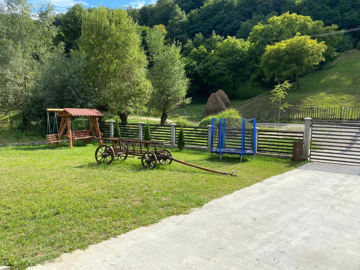 Hotel Casa Alex Curtea de Argeş Zewnętrze zdjęcie