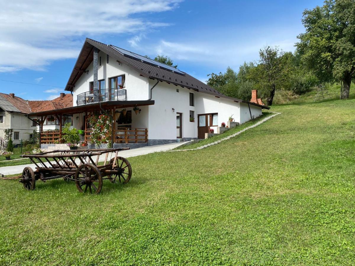 Hotel Casa Alex Curtea de Argeş Zewnętrze zdjęcie