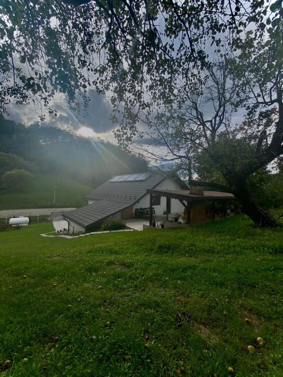 Hotel Casa Alex Curtea de Argeş Zewnętrze zdjęcie